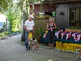 Golden Rabbit European Sandtrack-Derby Th. Ernst (207)